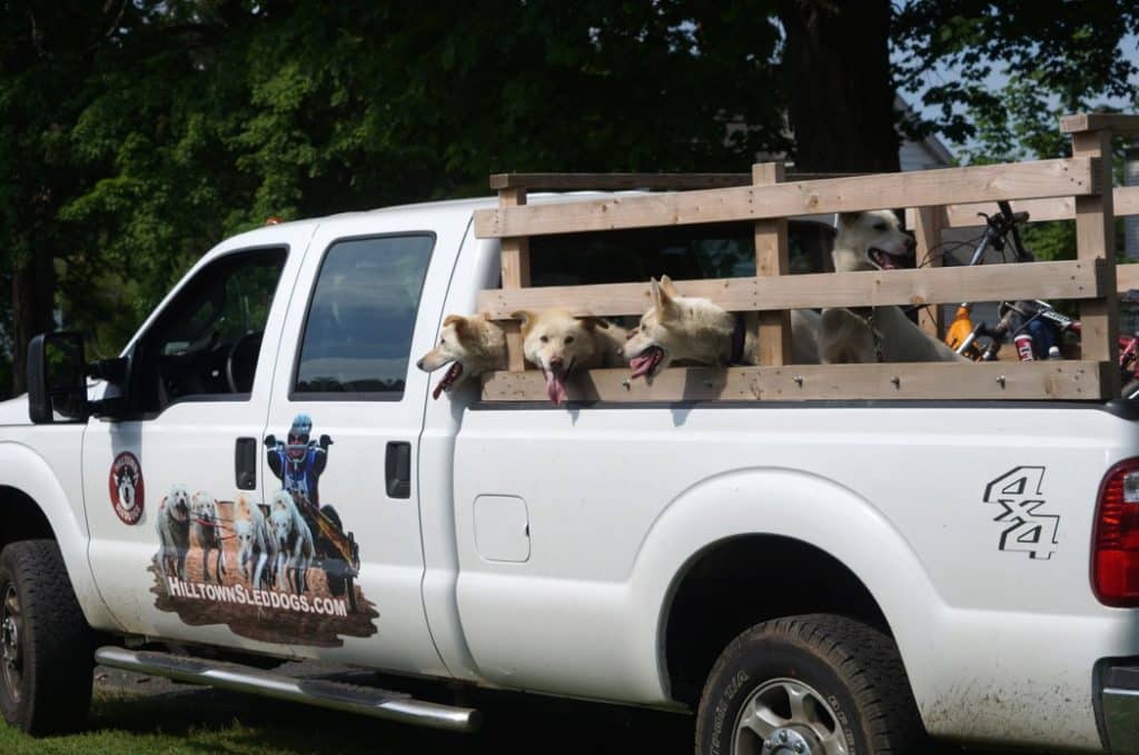 WGBY Asparagus Festival Hadley, Massachusetts New England