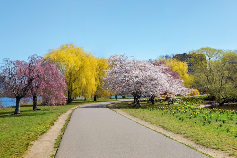 10 Best Things to Do in The Spring in New England New England