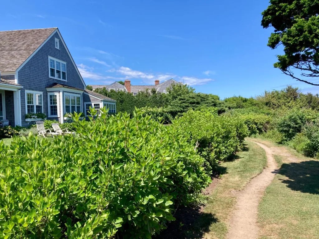 The Sconset Bluff Walk How to Explore This Nantucket Treasure