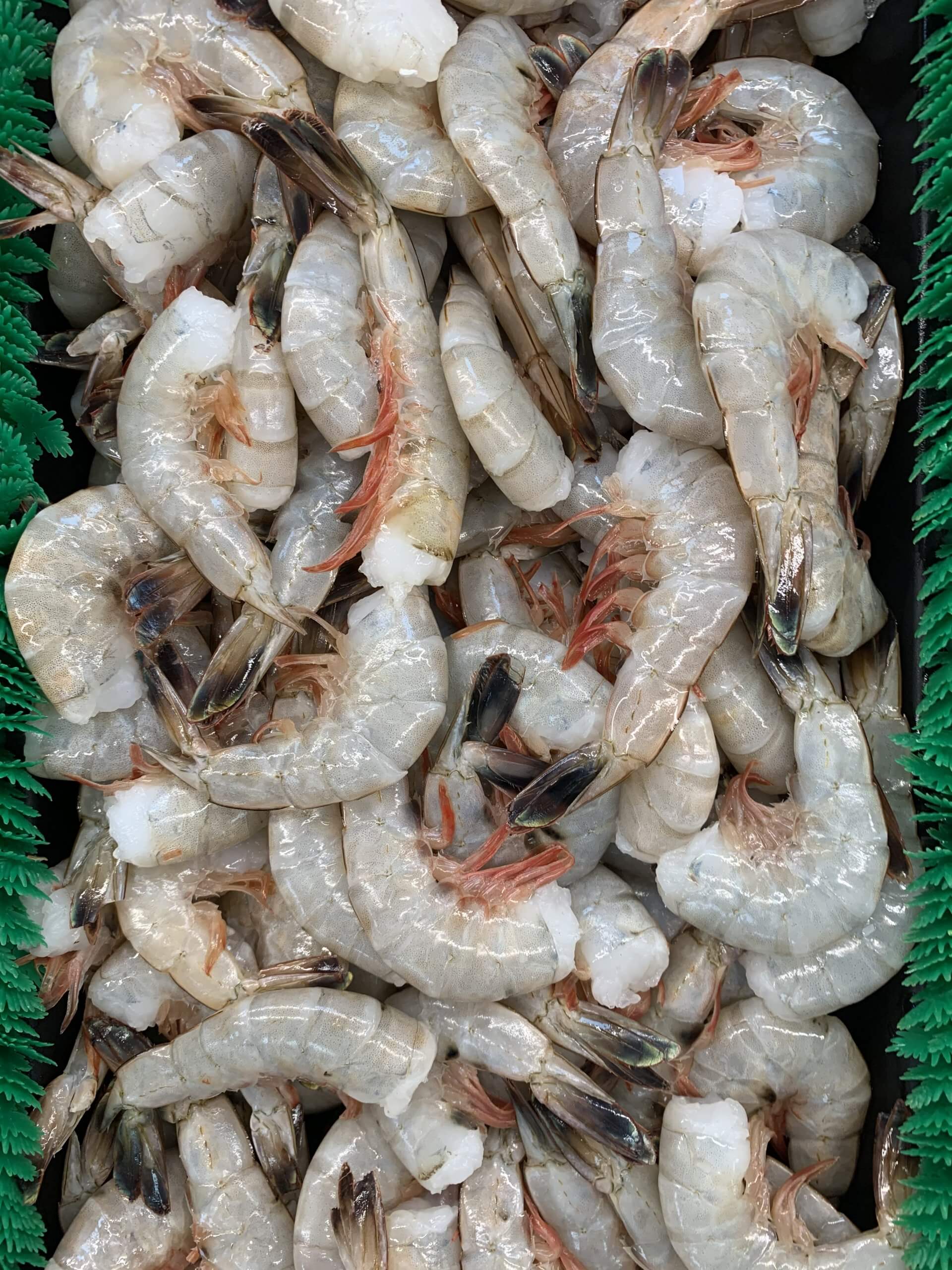 Medium size Wild Caught Gulf White Shrimp 9.99/lb. New England Fish
