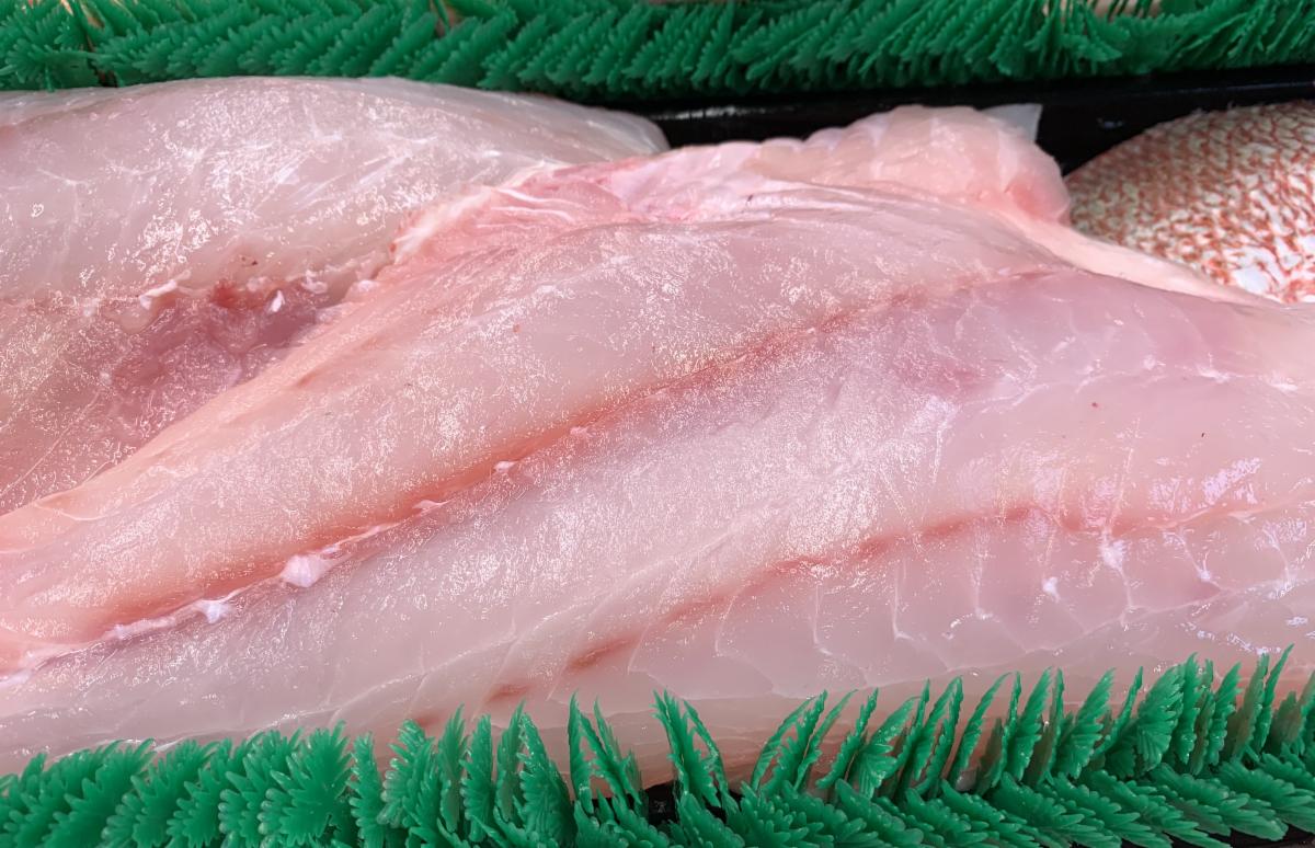 Fresh Gulf Lane Snapper Fillet...Please call New England Fish Market
