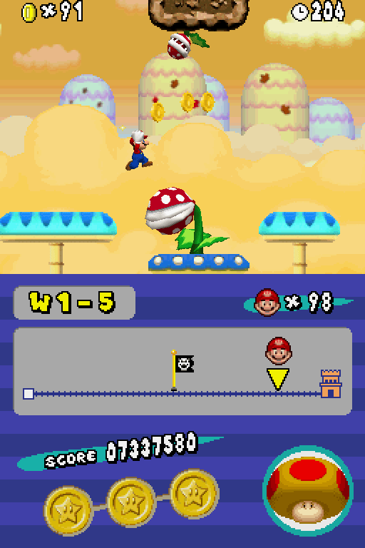 Newer Super Mario Bros. DS