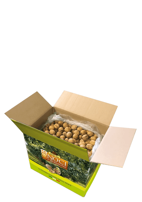 In Shell Walnuts 34/36 5 kg New Factor