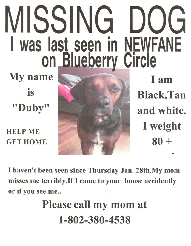 Newfane Dog Warden at Ethan Garcia blog