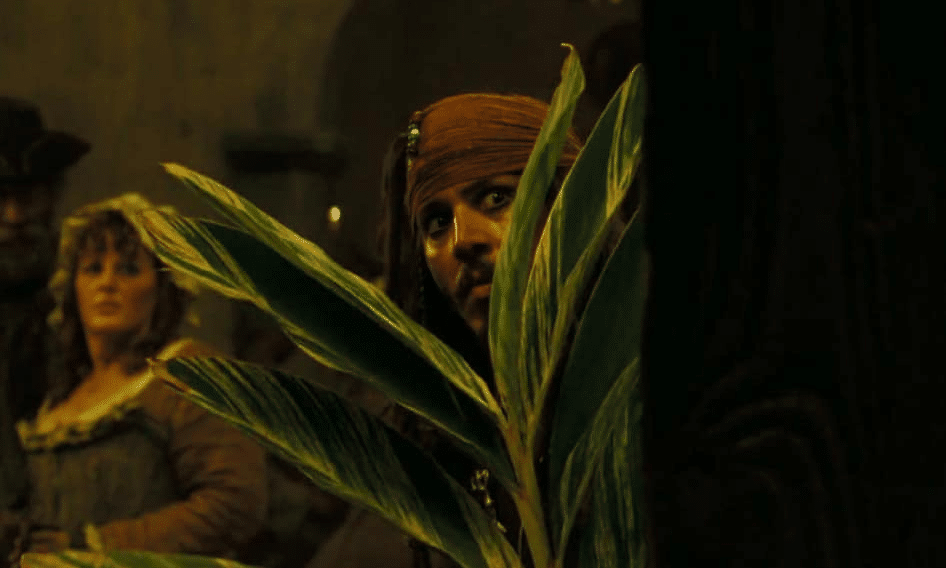Meme Generator Jack Sparrow Hiding Newfa Stuff