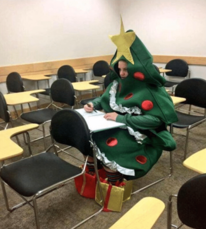 Meme Generator Christmas tree costume in class Newfa Stuff