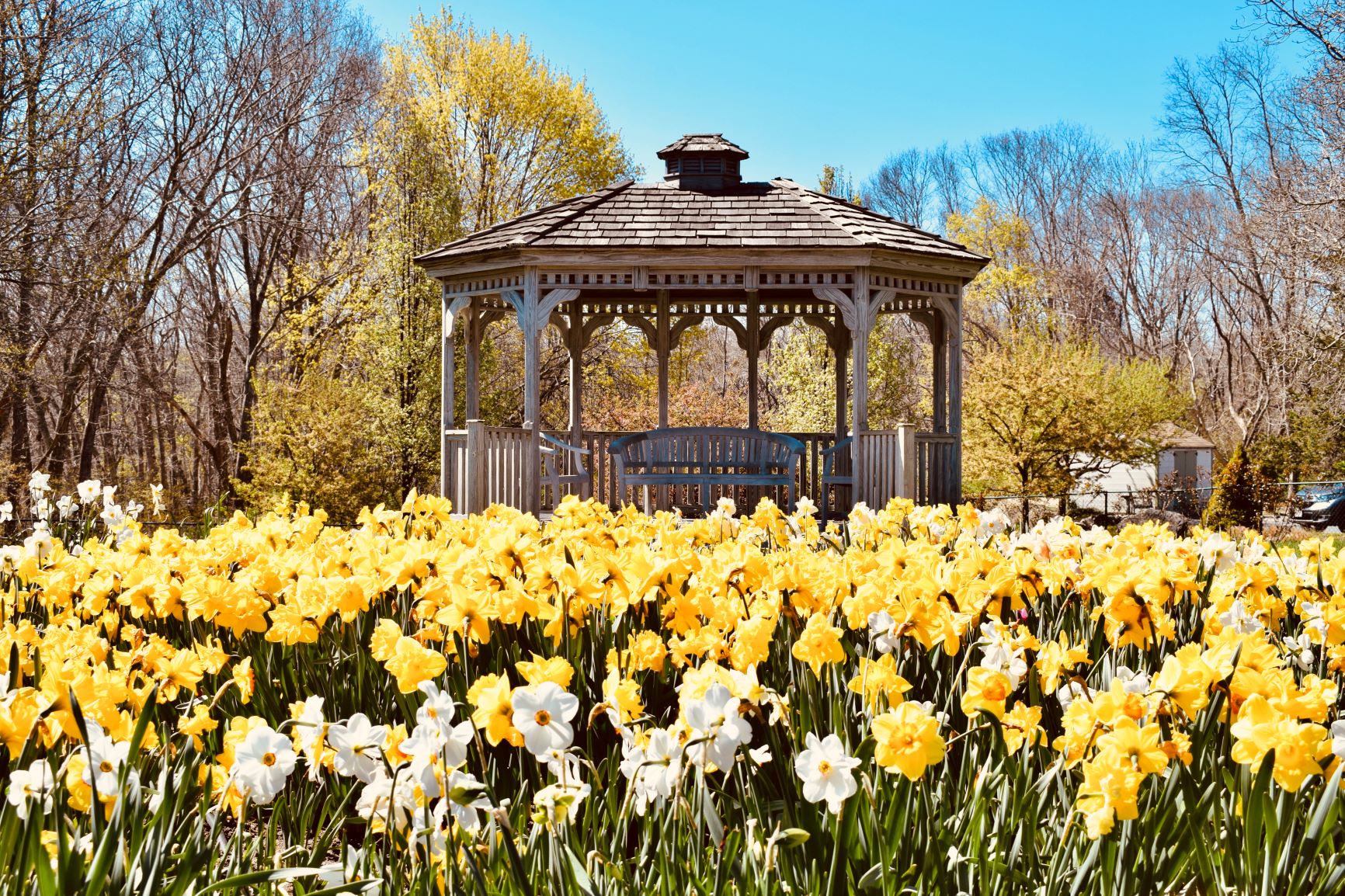 Life at Newfield House Newfield House