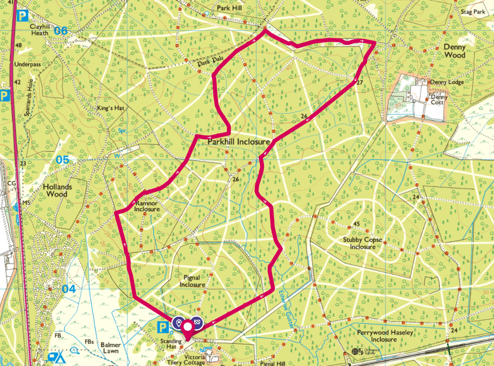 103 Standing Hat New Forest Car Park Walks