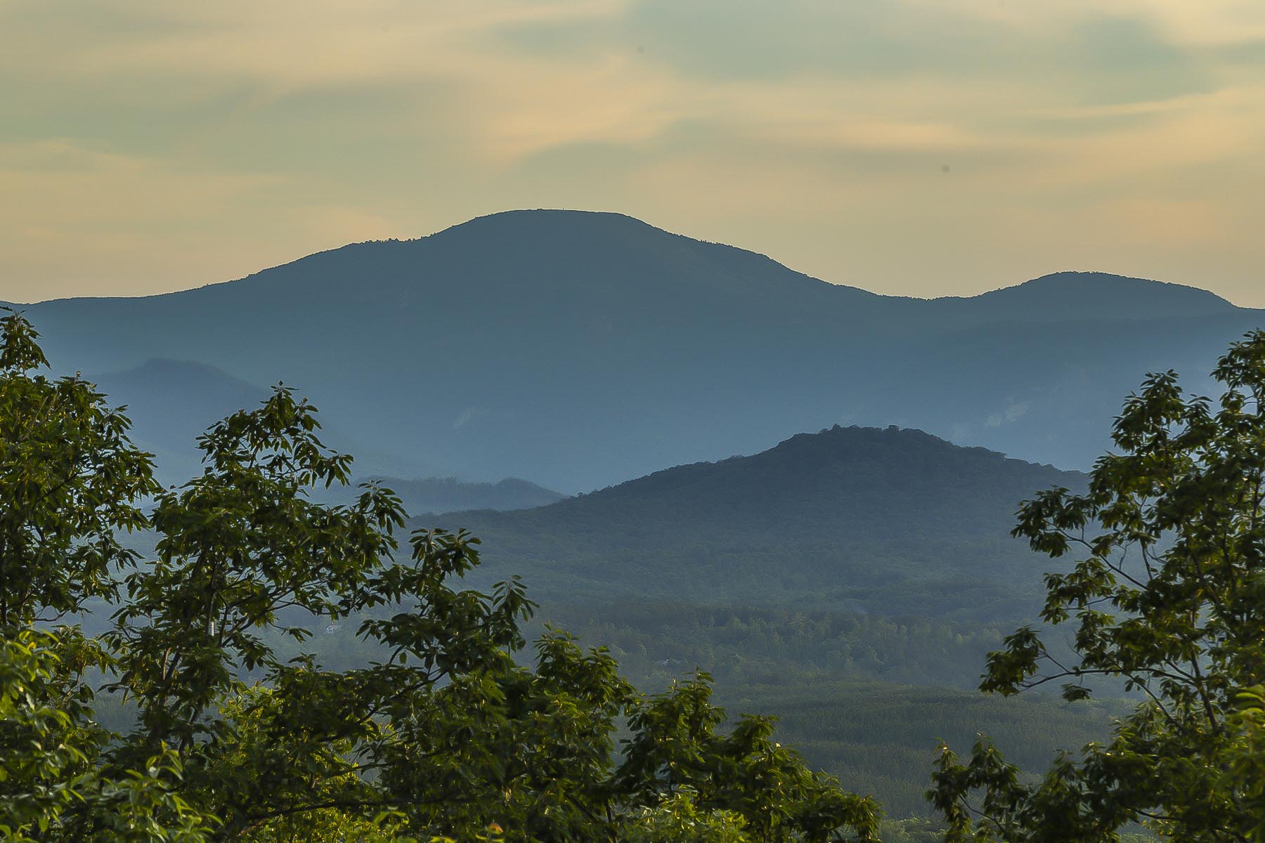 Mountain Lots New forest Mountain