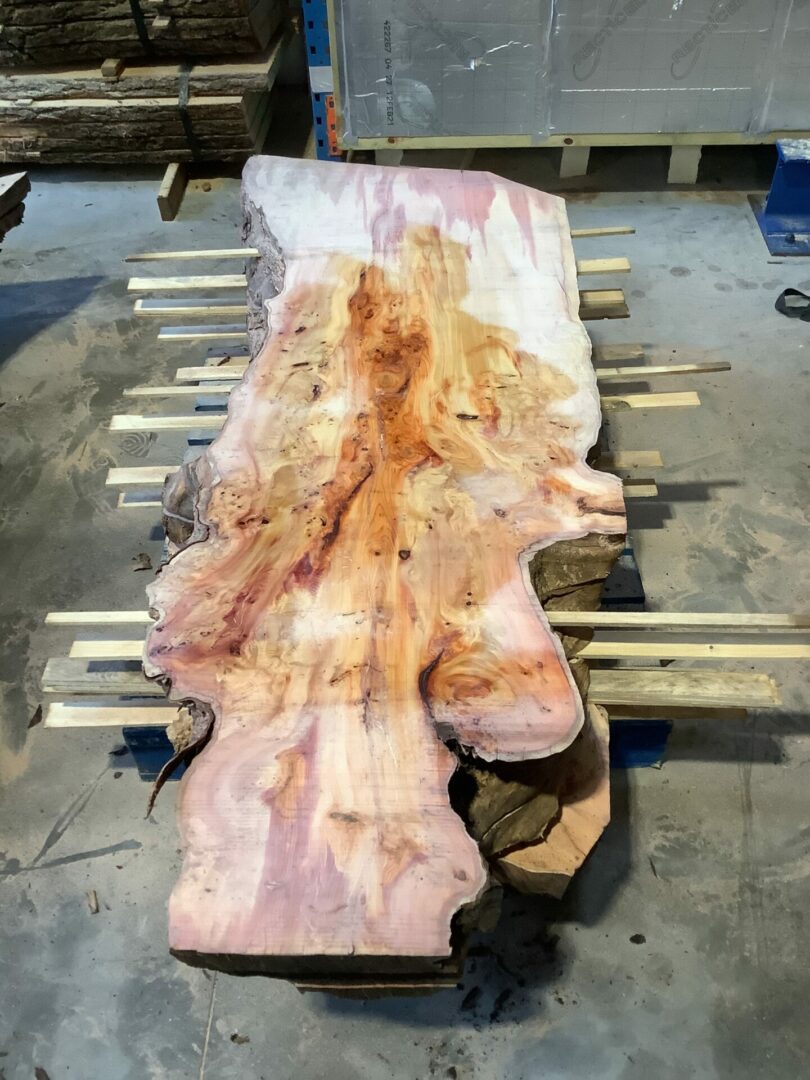Yew 2039 2047 Live Edge Timber for Sale