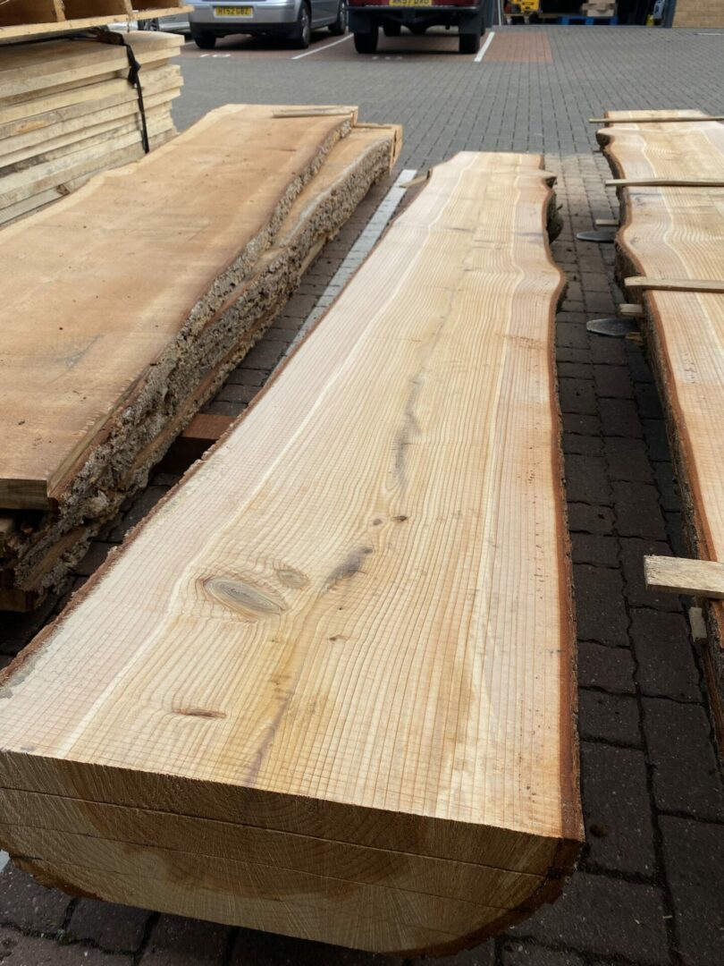 Atlas cedar 5. Timber for Sale New Forest Sawmill