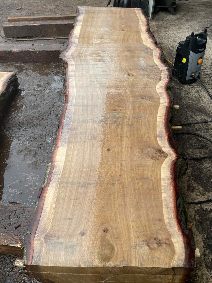 Burr Oak 2464 2473 Timber for Sale New Forest Sawmill