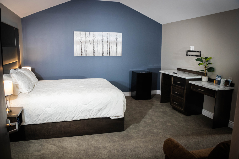 Newfound Suite Affordable in Conception Bay South