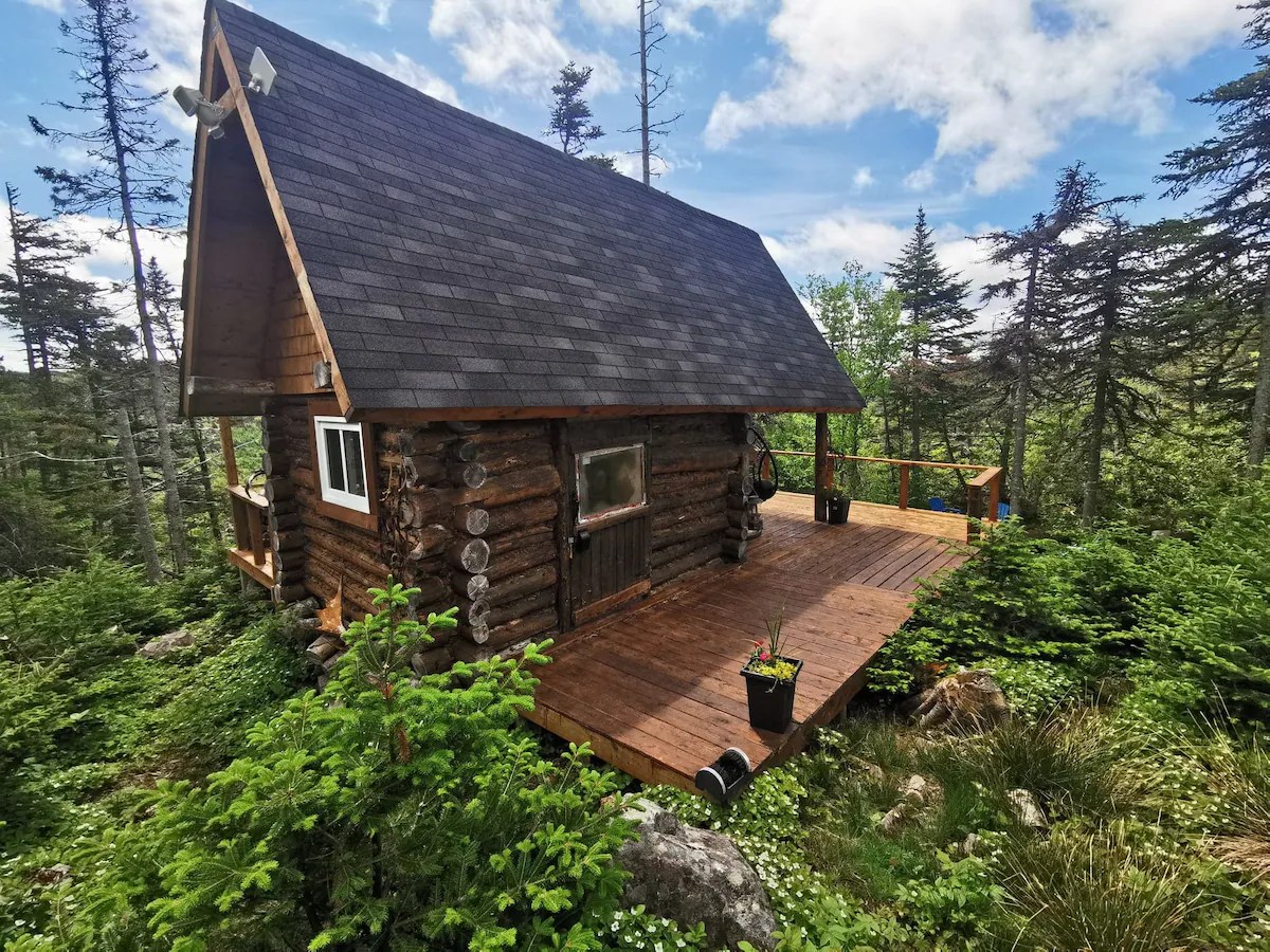 Off The Grid Cabin Rental Near St John's Newfoundland Buzz