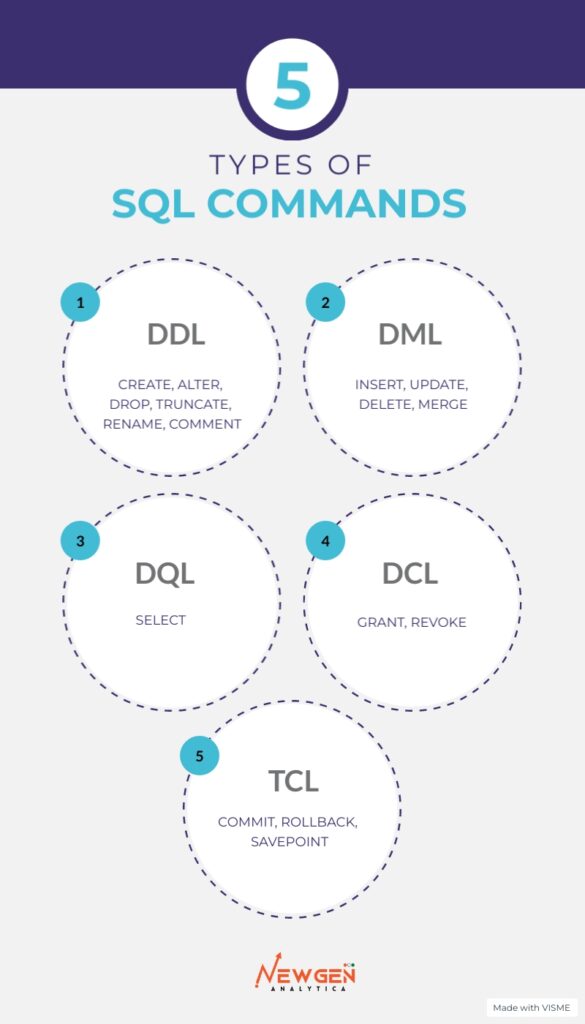 Exploring Different Types of SQL Commands Newgen Analytica
