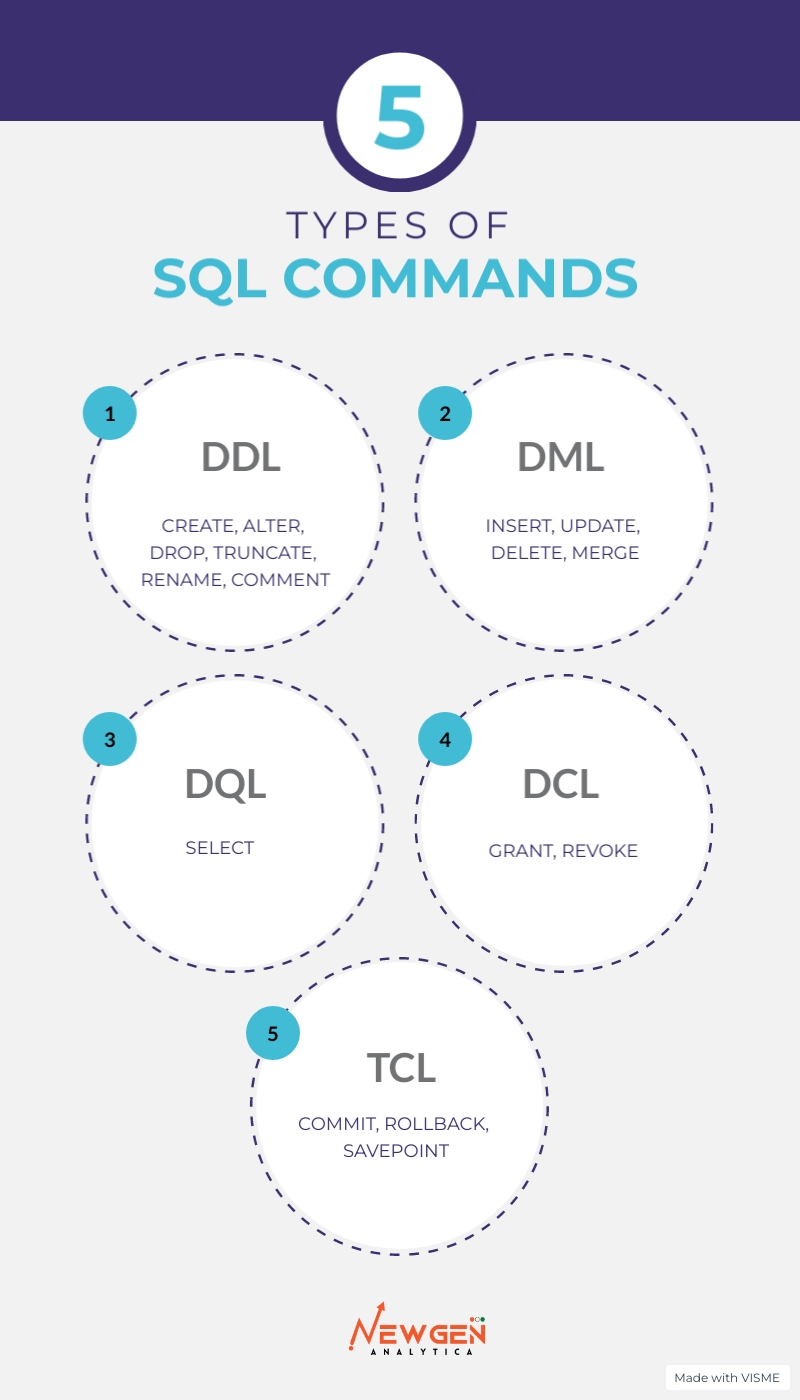 Exploring Different Types of SQL Commands Newgen Analytica
