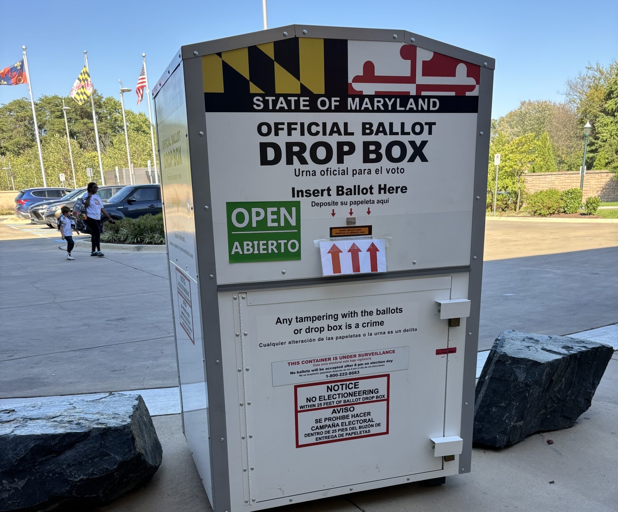 With millions now casting ballots, democracy watchdogs stress voter