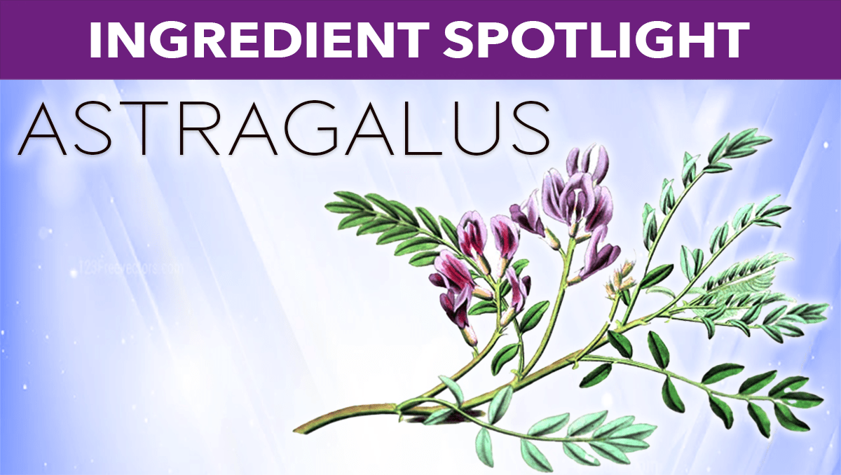 New Harmony Soap Company Natural Skin Care Products