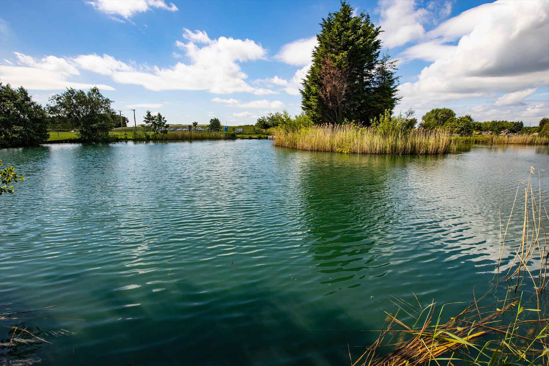Specimen Lake Peg 2 Newhay Lakes