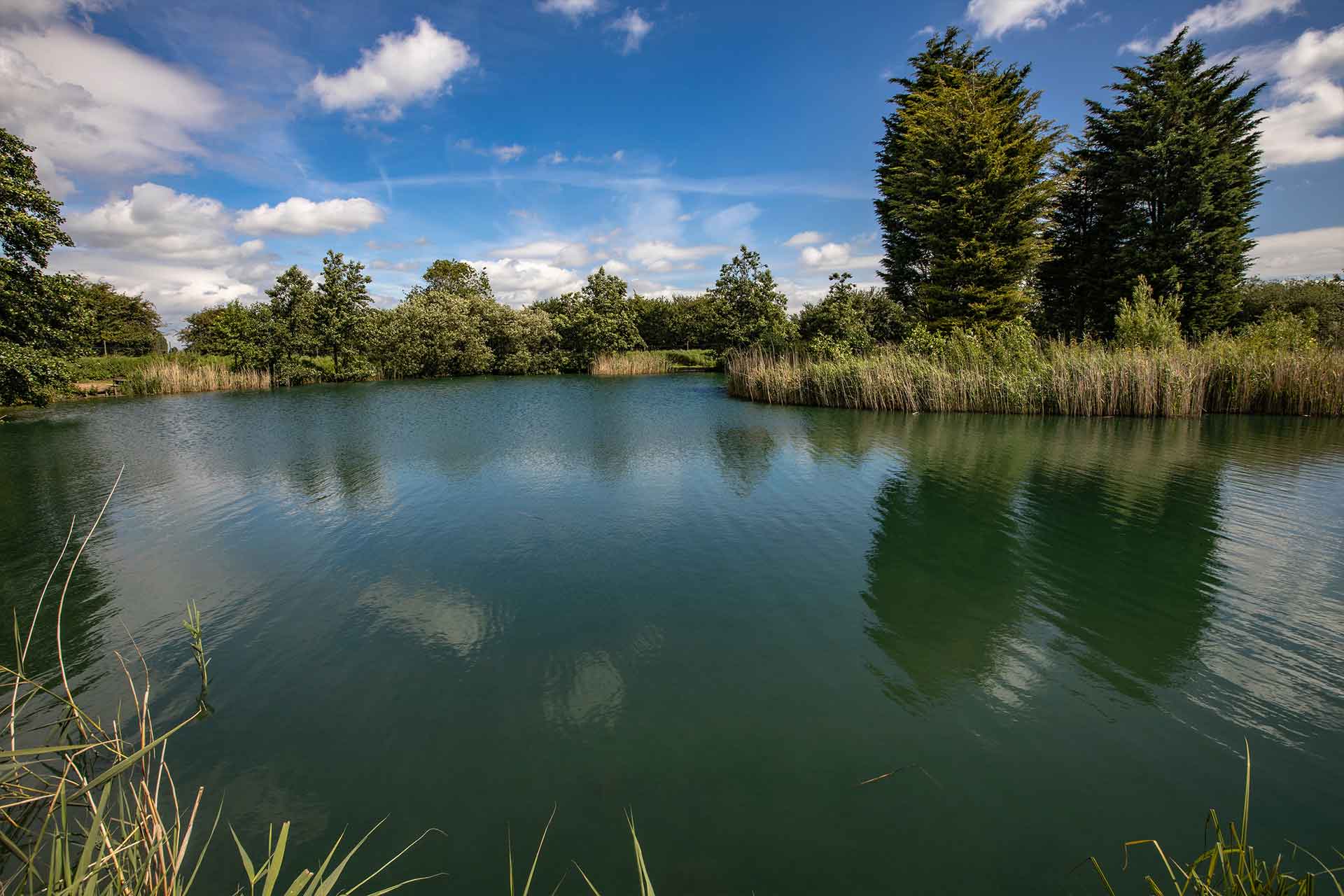 Specimen Lake Peg 6 Newhay Lakes