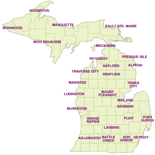 Michigan New Homes for Sale