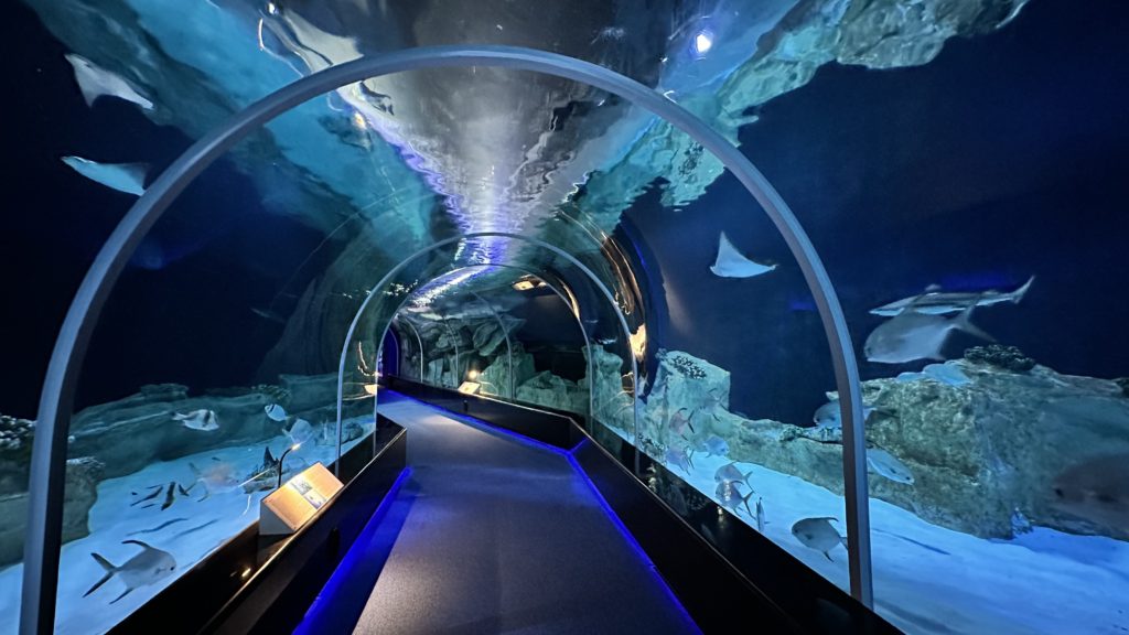 Maritime Museum New In Doha Inspiring You to Explore Qatar