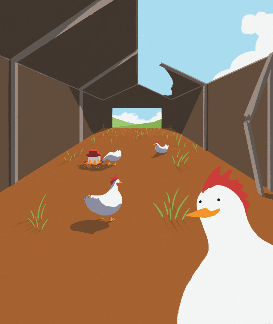 What if…we banned the intensive farming of animals? New Internationalist