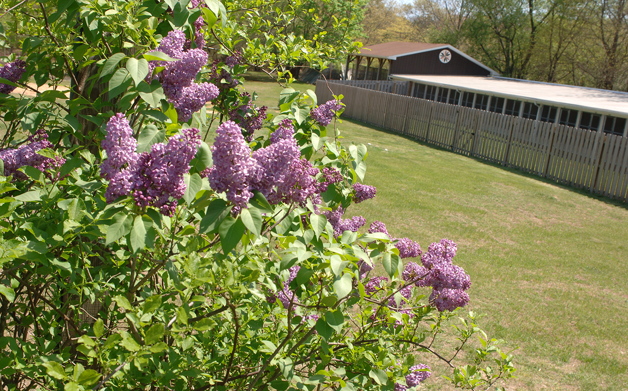 New Jersey Dog Highland Kennel, Best Dog Boarding in New Jersey