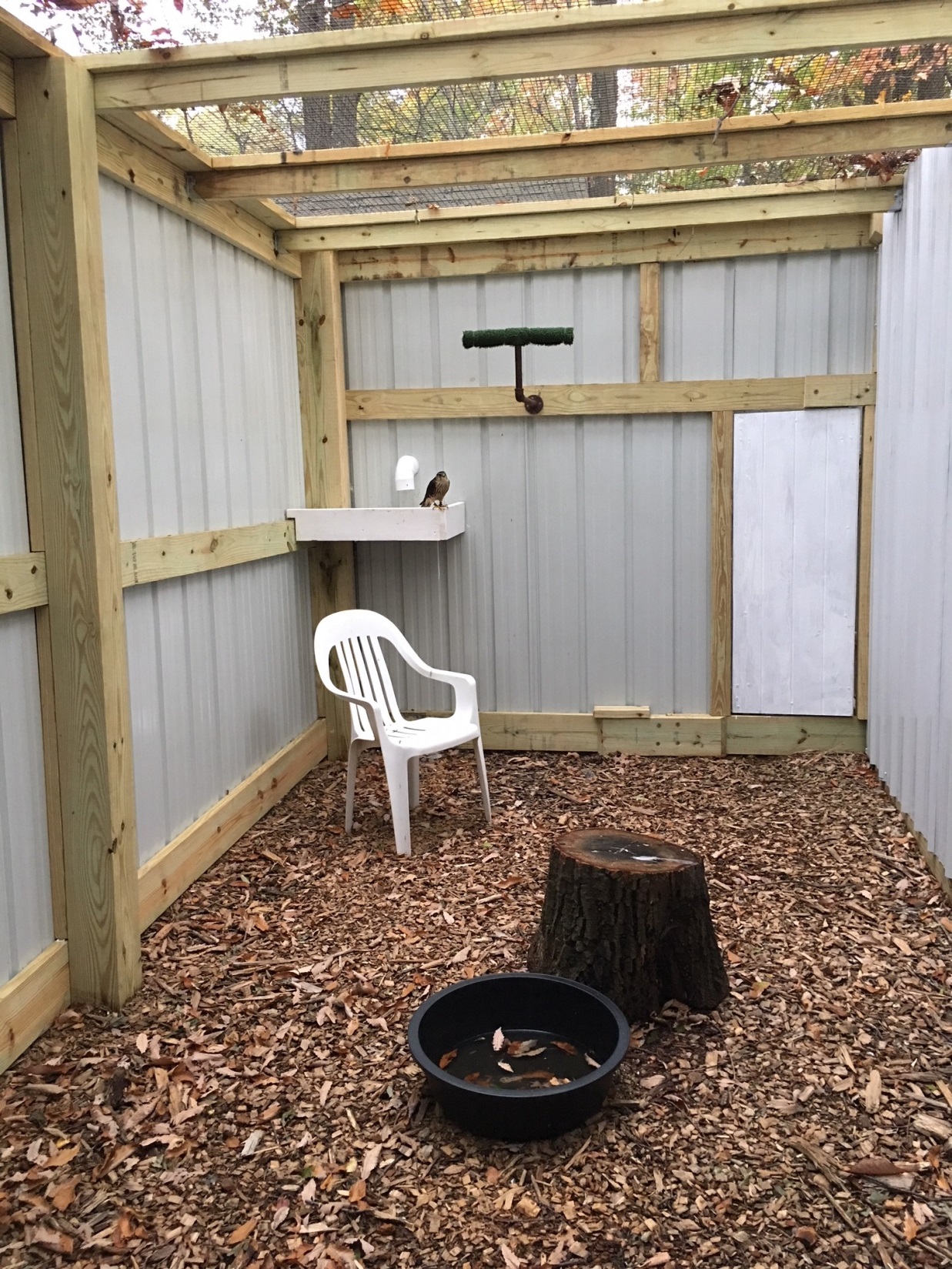 LOFT2 NEW JERSEY FALCONRY