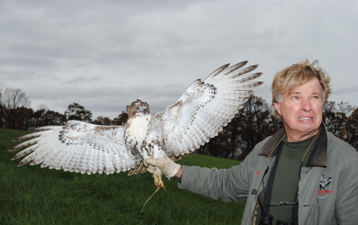 NEW JERSEY FALCONRY