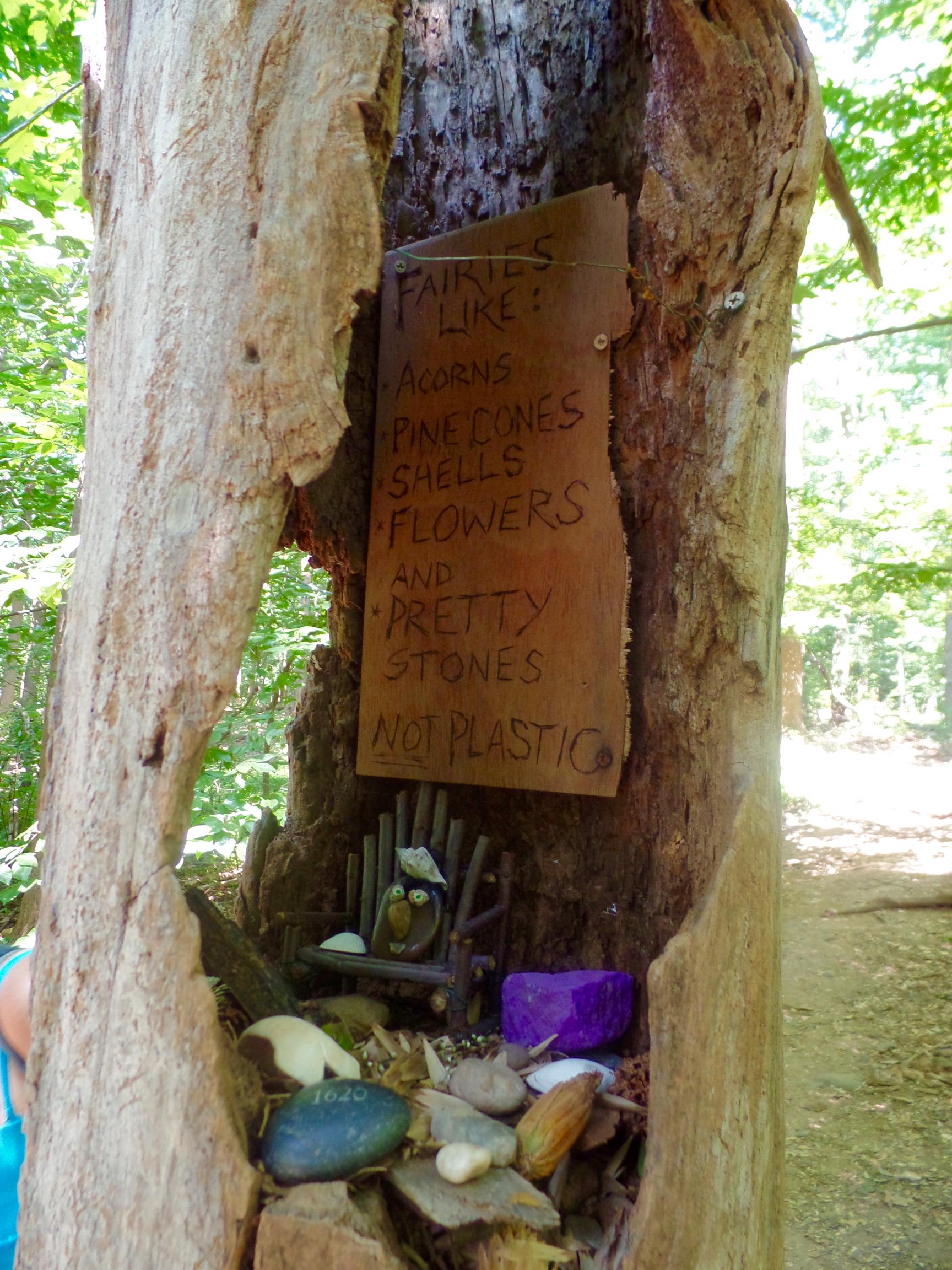 Magic Hidden in the Woods South Mountain Reservation