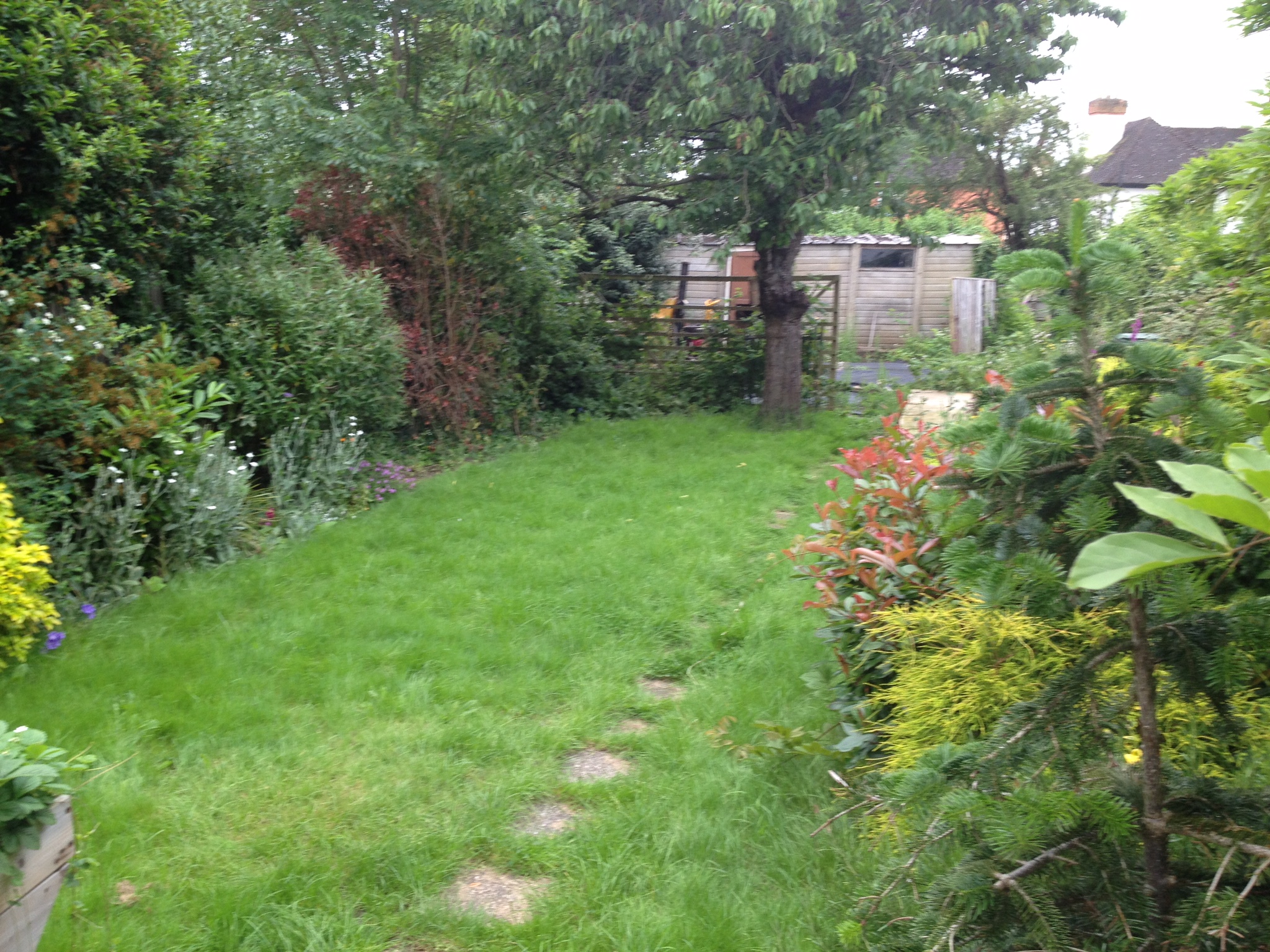 Garden designed for full Wheel Chair access New Leaf Landscape Gardener