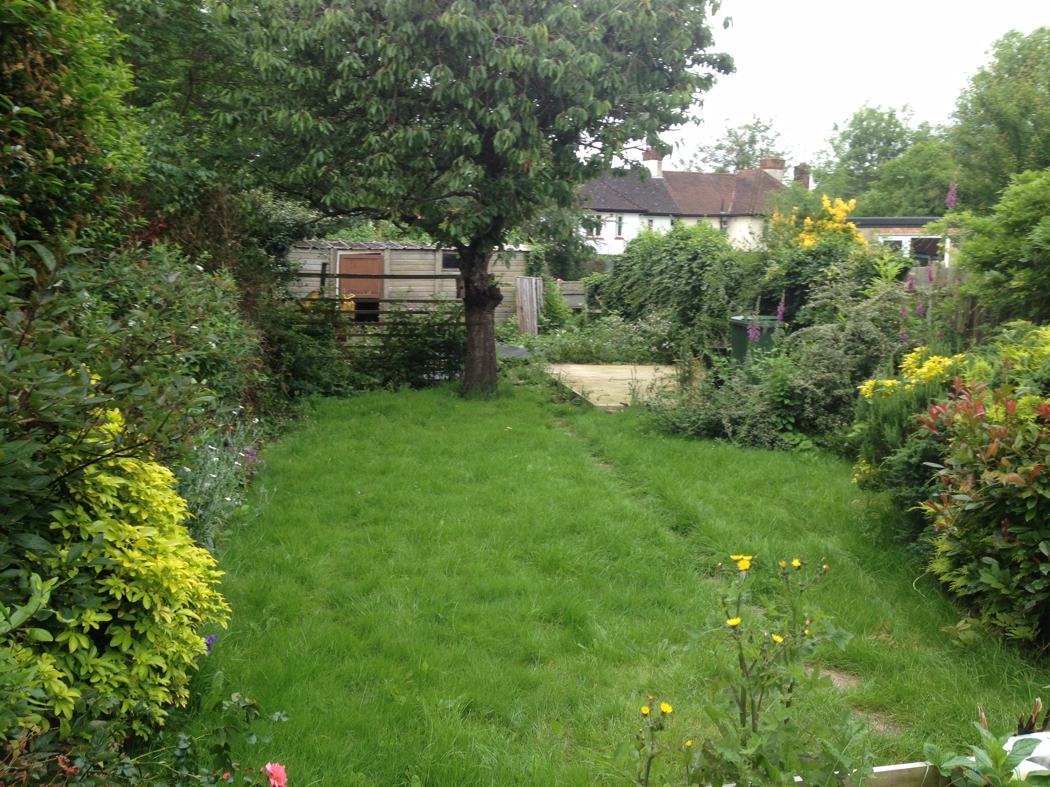 Garden designed for full Wheel Chair access New Leaf Landscape Gardener