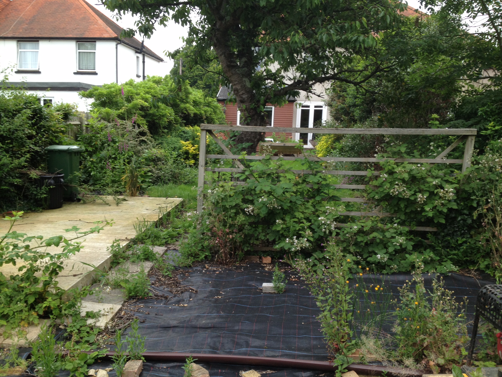 Garden designed for full Wheel Chair access New Leaf Landscape Gardener