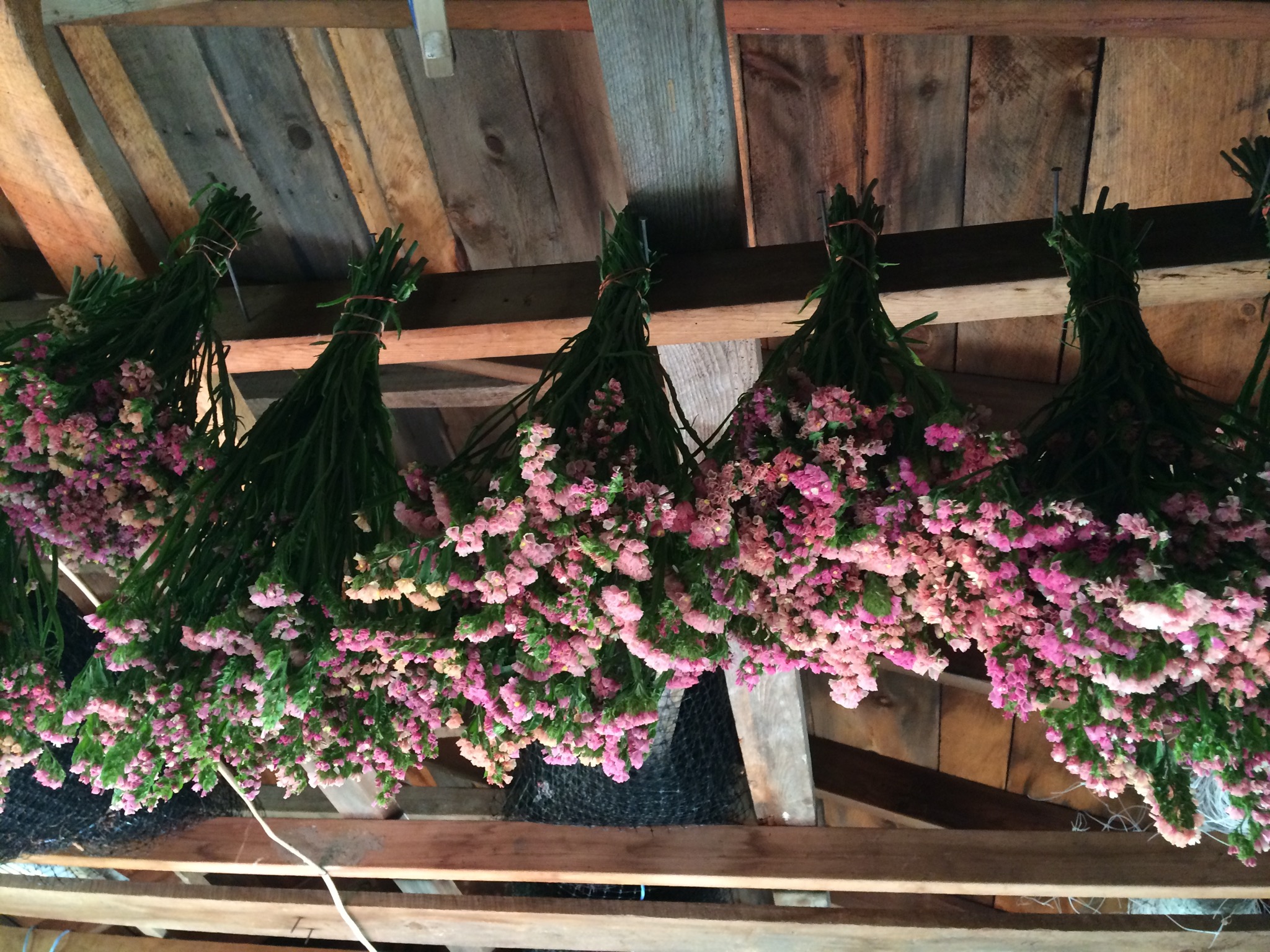 Darcy Cochran New Leaf Flowers Chicago / A New Leaf Wedding Chicago