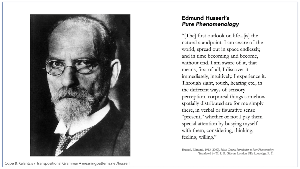 Husserl's Phenomenology New Learning Online