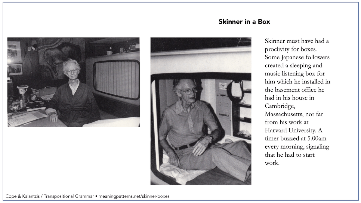 Skinner in a Box New Learning Online