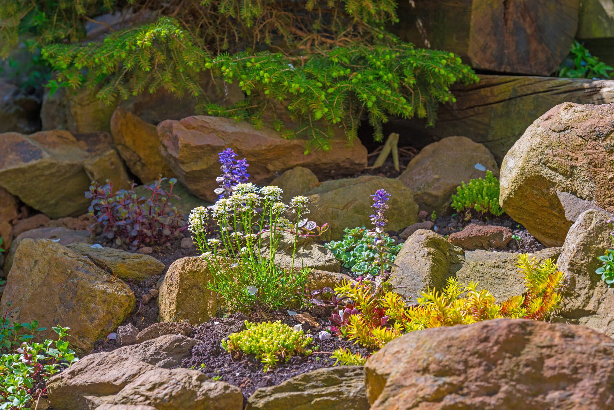 How to Build A Rock Garden On A Slope New Life Rockeries