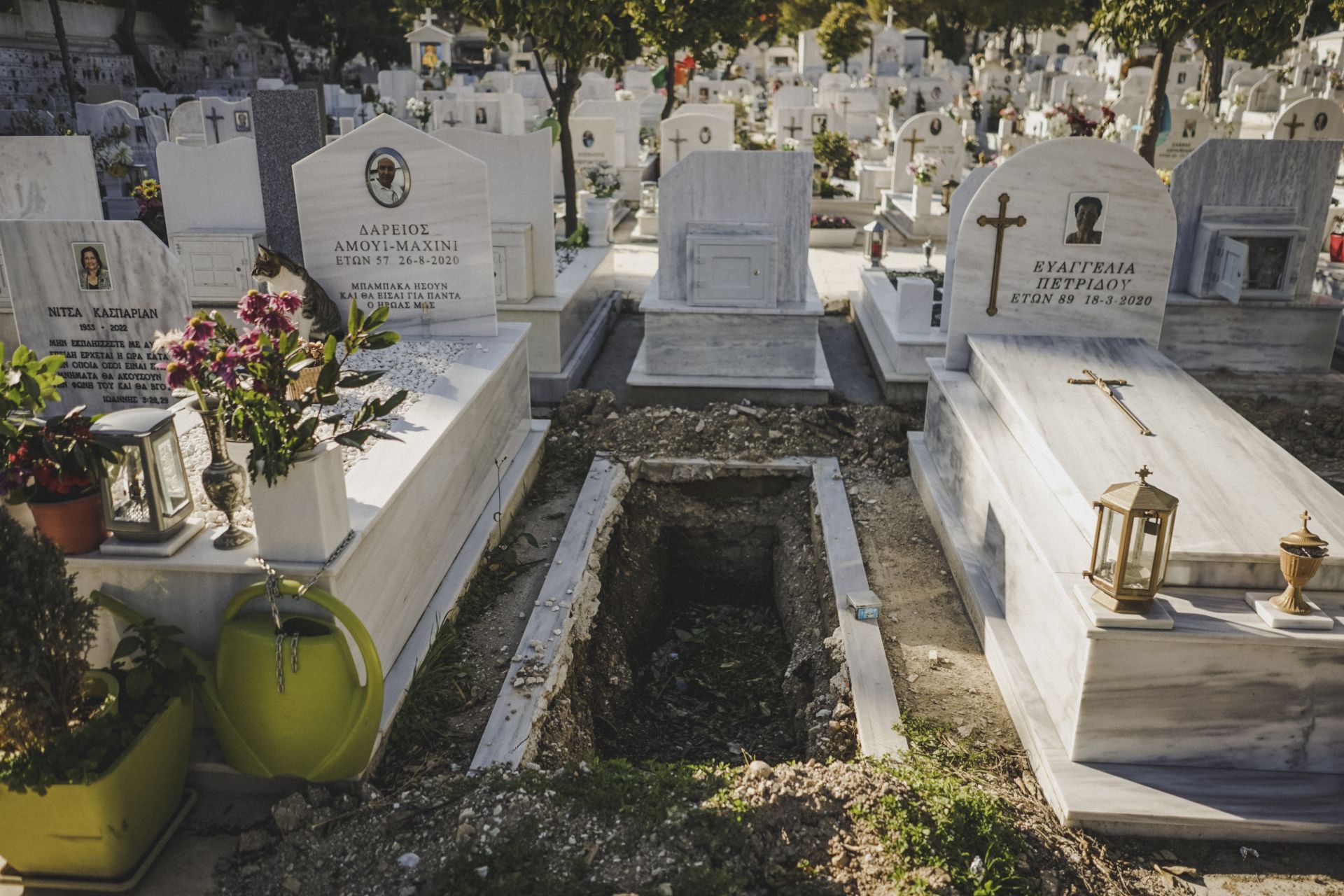 The fugitive Brazilian heiress who lived next door