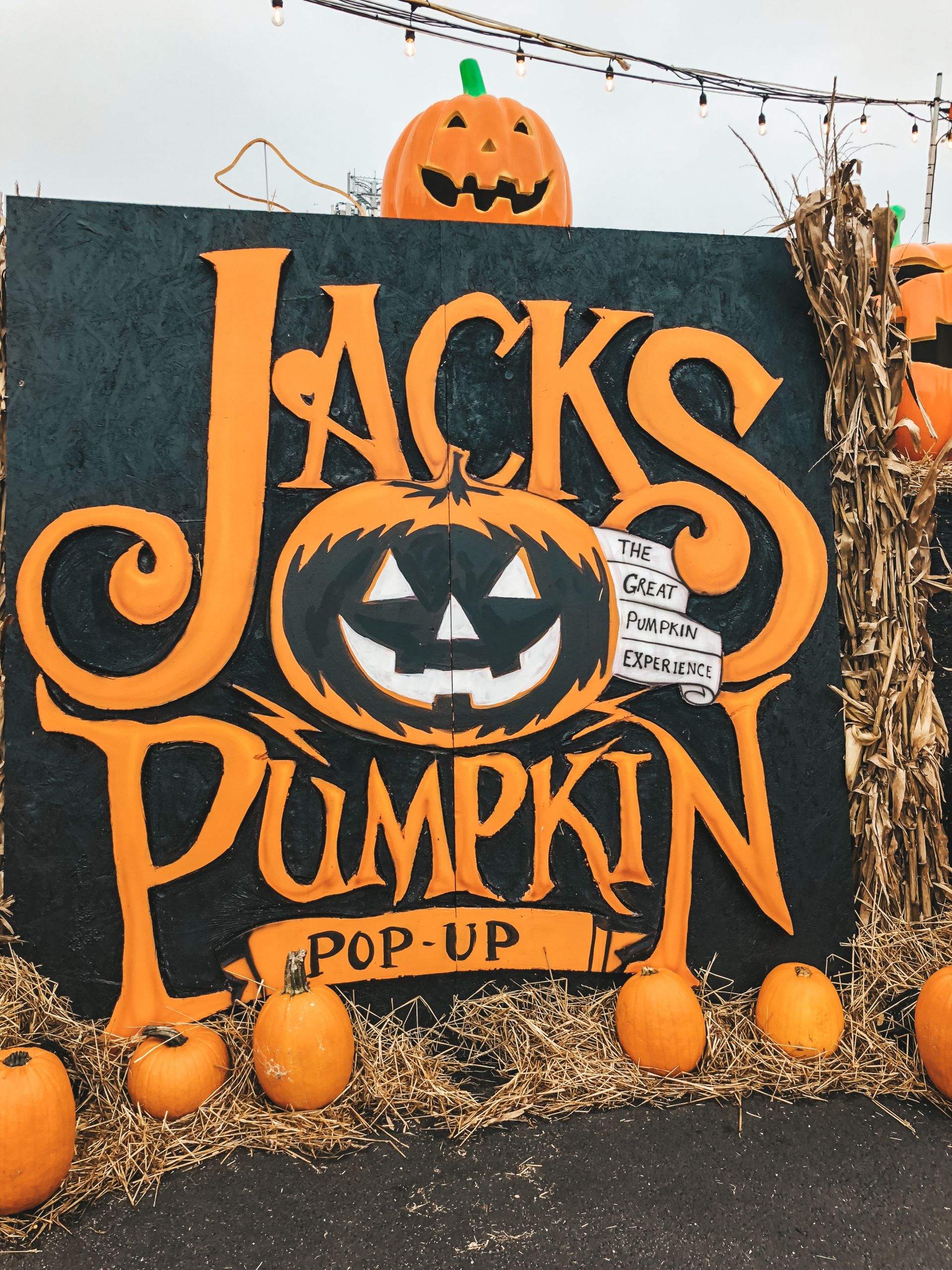 Jack's Pumpkin Patch PopUp NewlyDevary