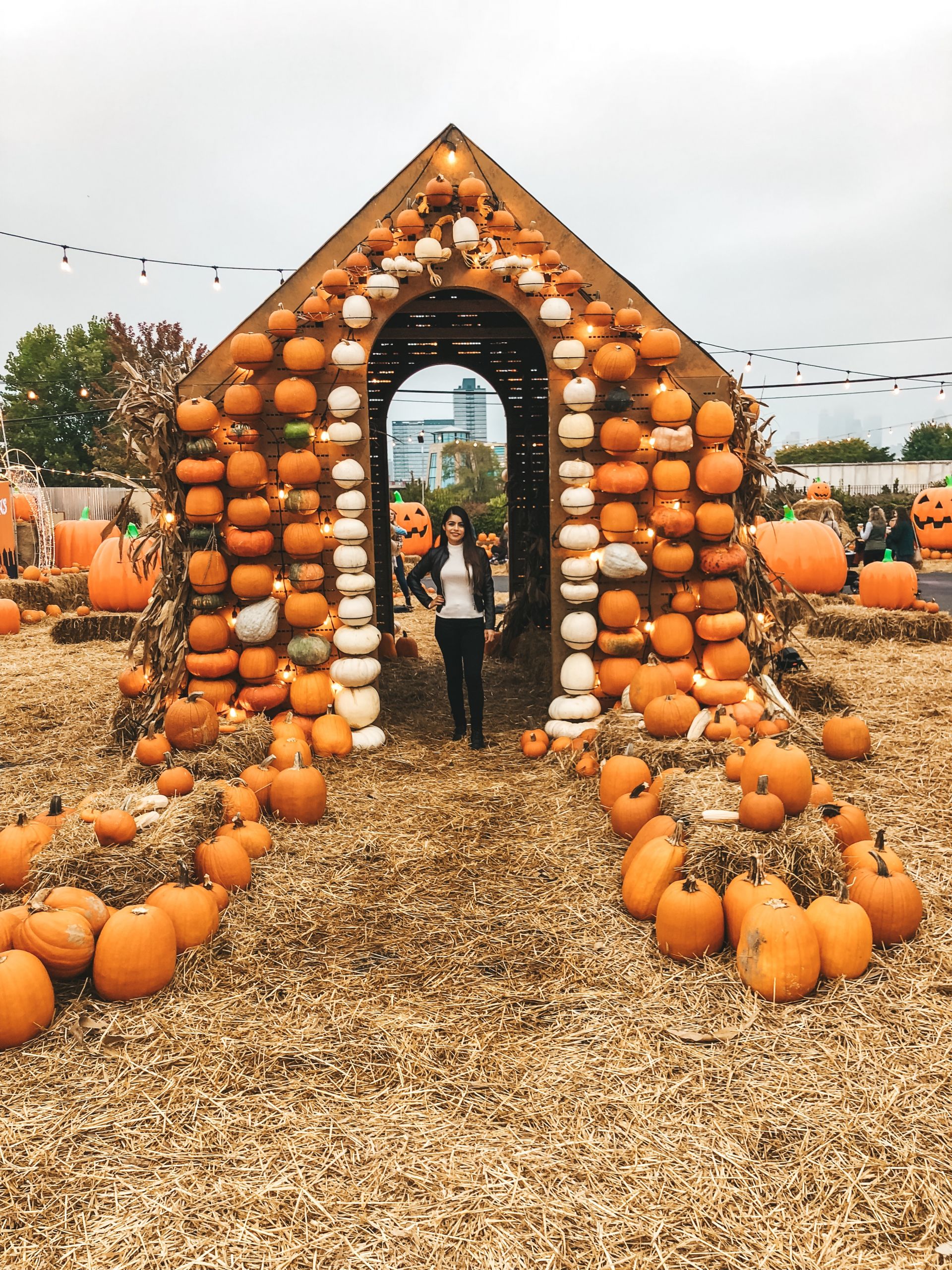 Jack's Pumpkin Patch PopUp NewlyDevary