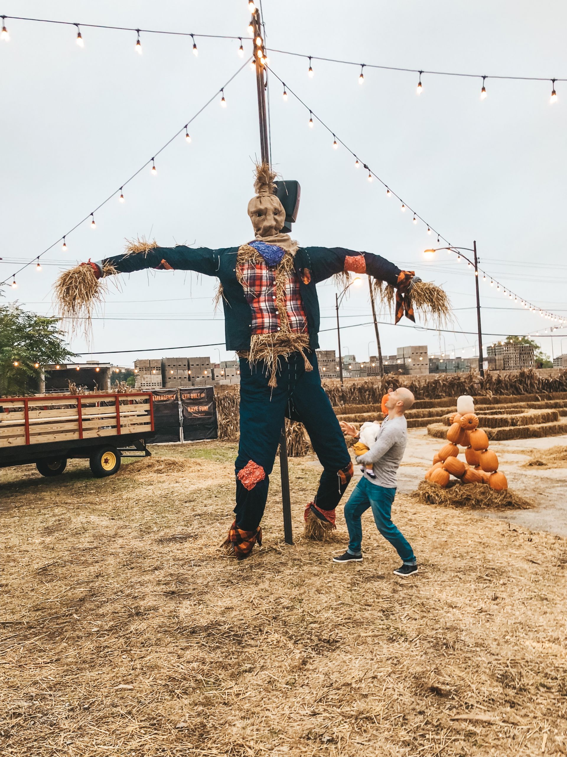 Jack's Pumpkin Patch PopUp NewlyDevary