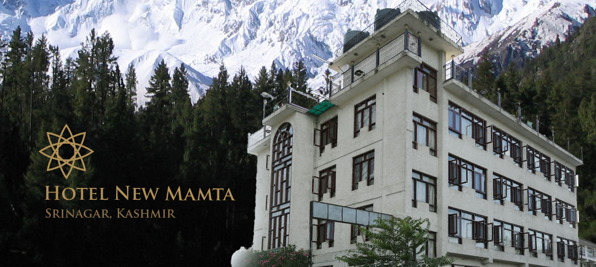 Hotel New Mamta A Luxury Pure Vegeterian Hotel