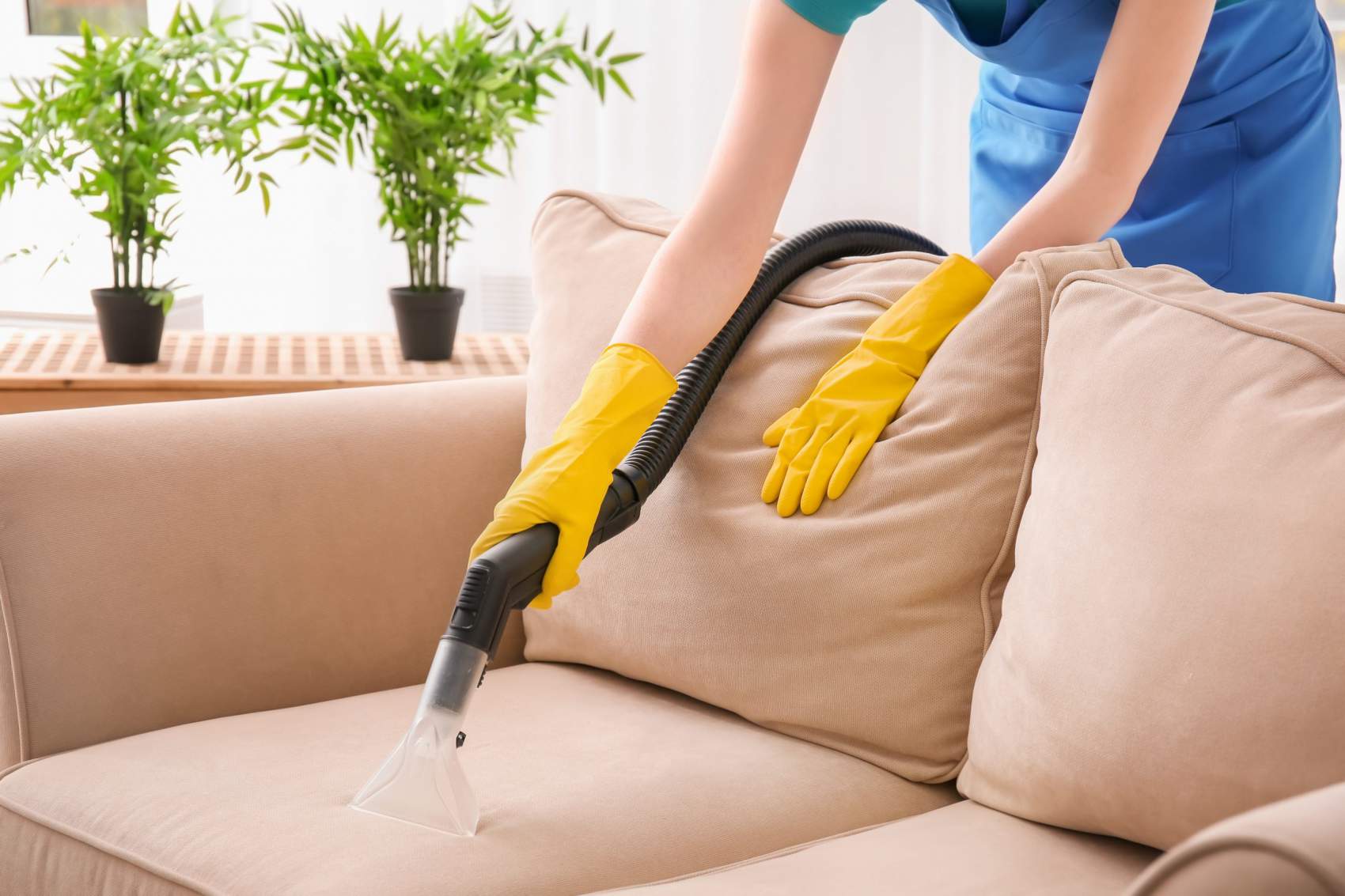 Furniture Cleaning Billings, MT Upholstery Cleaning Services