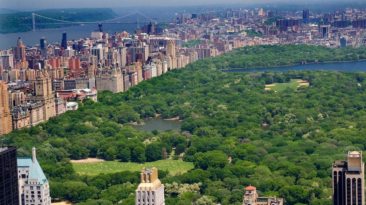 New York Real Estate Management Newman Properties, Inc.