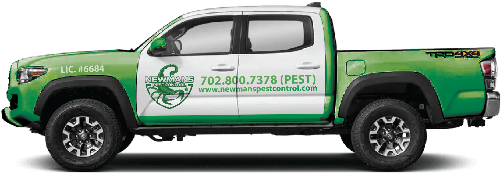 How To Get Rid Of Sun Spiders In Las Vegas Newmans Pest