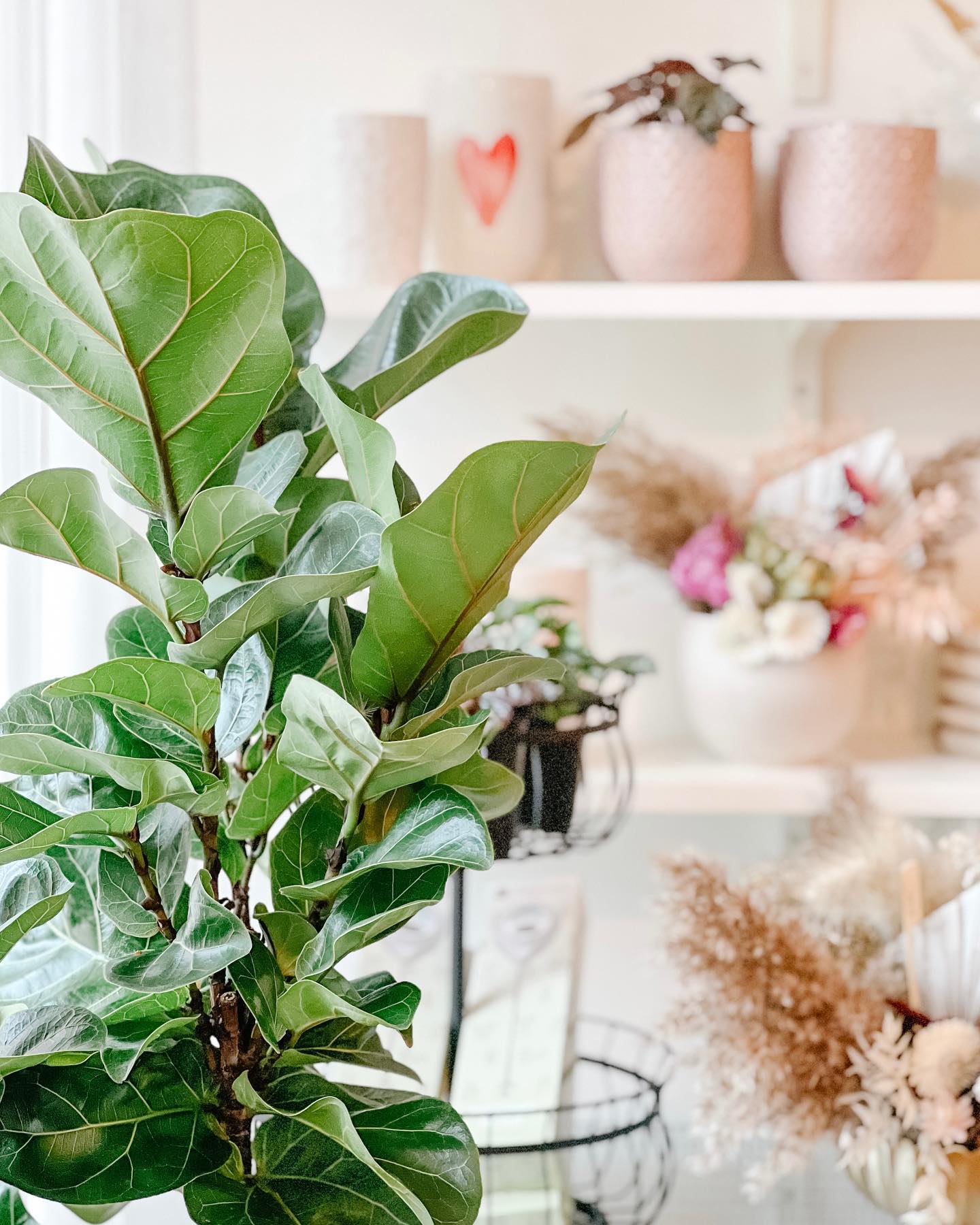 Newmarket BIA Kith Gift Shop Newmarket BIA