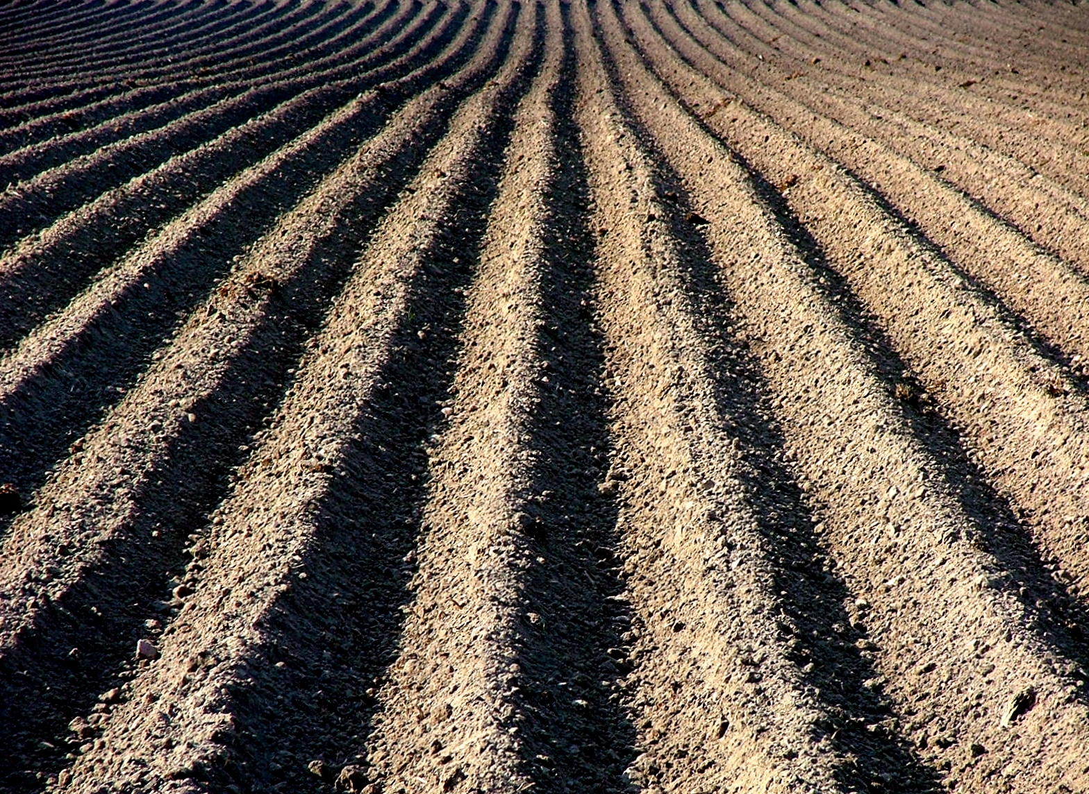 301 Moved Permanently