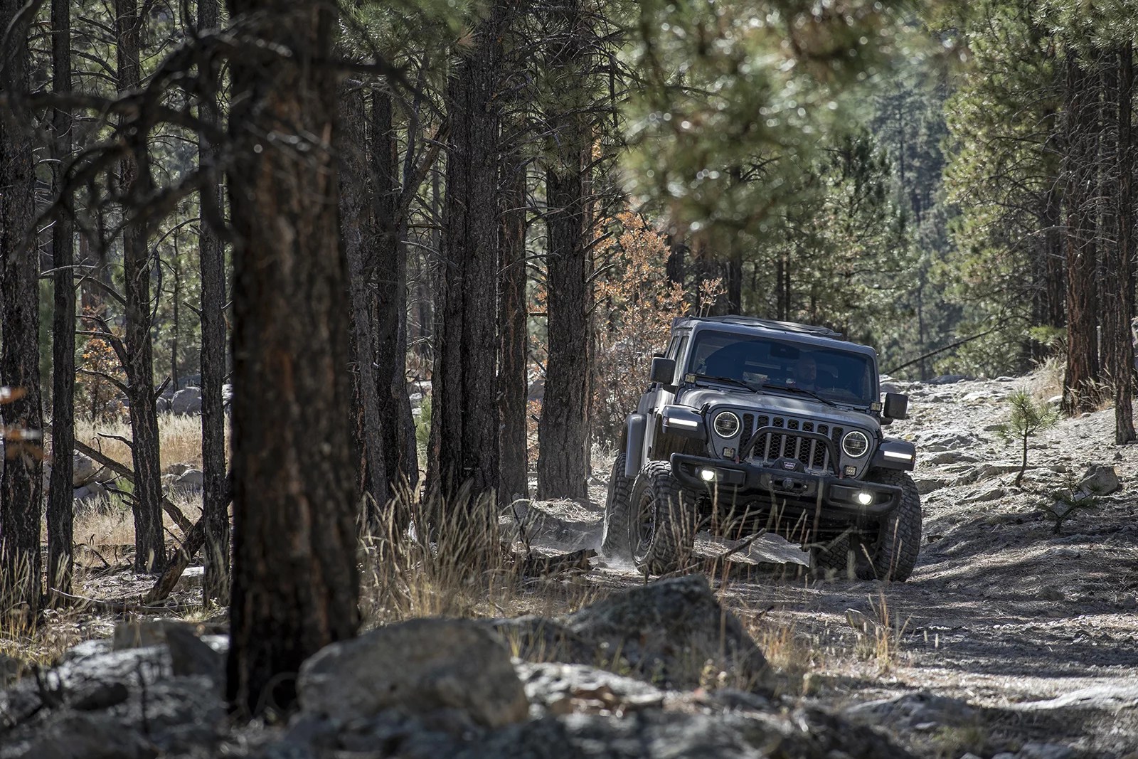 Fall Gila Overland October 2122 2022 NMBR