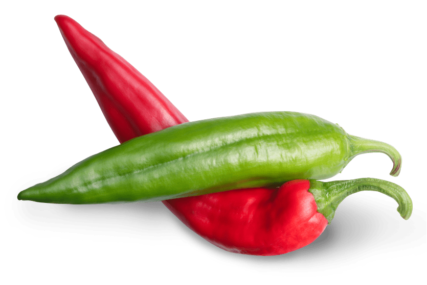 How to Chile New Mexico Chile